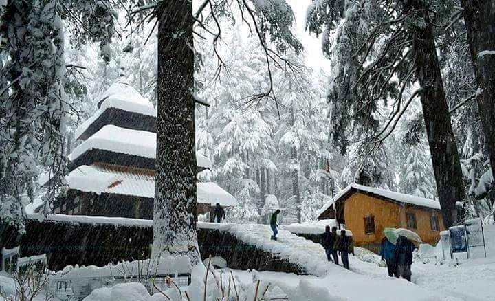 Himachal Tour with Shimla, Manali